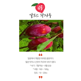 일심묘목농원님의 작성글 사진