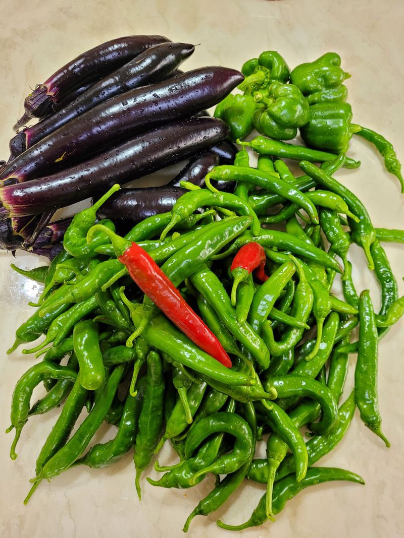 장터 상품 [풍성한  수확에  감사하며 고추를  더  많이  먹는 ] 썸네일