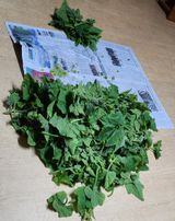 팜모닝 기타작물·자유게시판 게시글 이미지