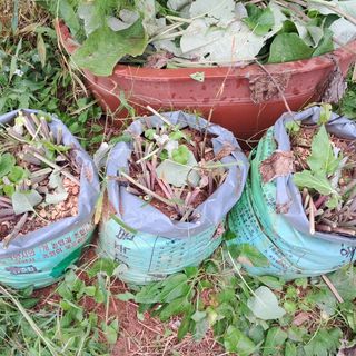 장은주님의 자유주제 · 자유게시판 작성글 사진