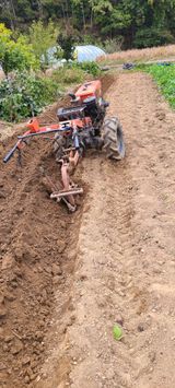 팜모닝 양파·자유게시판 게시글 이미지