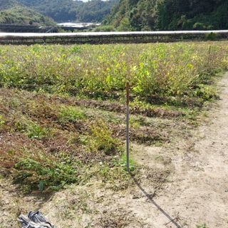 박수연님의 작성글 사진