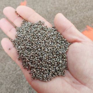 박수연님의 작성글 사진