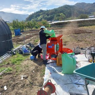 박수연님의 작성글 사진