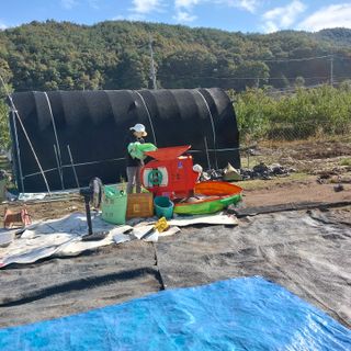 박수연님의 작성글 사진