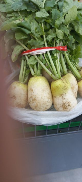 강정순님의 작성글 사진