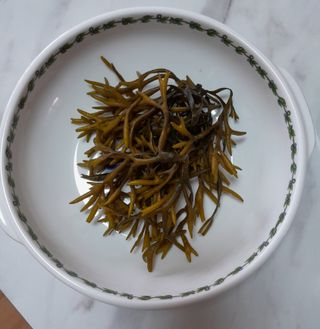 장호정님의 파 · 자유게시판 작성글 사진