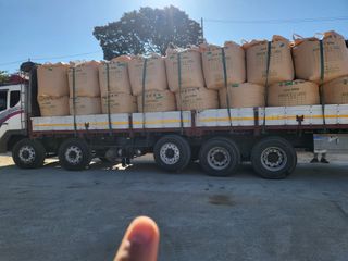 김영진(전남영광)님의 벼 · 자유게시판 작성글 사진