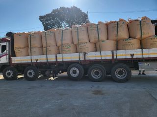 김영진(전남영광)님의 벼 · 자유게시판 작성글 사진