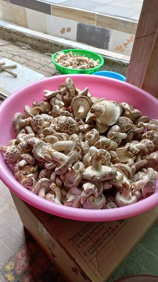 파란농원님의 작성글 사진