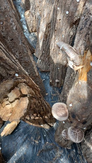 파란농원님의 작성글 사진