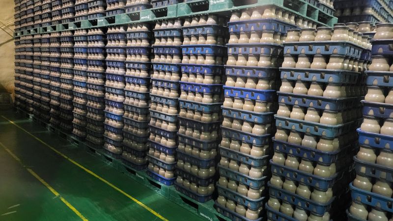 wjmush님의 장터 판매 상품 [새송이버섯 종균] 첨부 사진