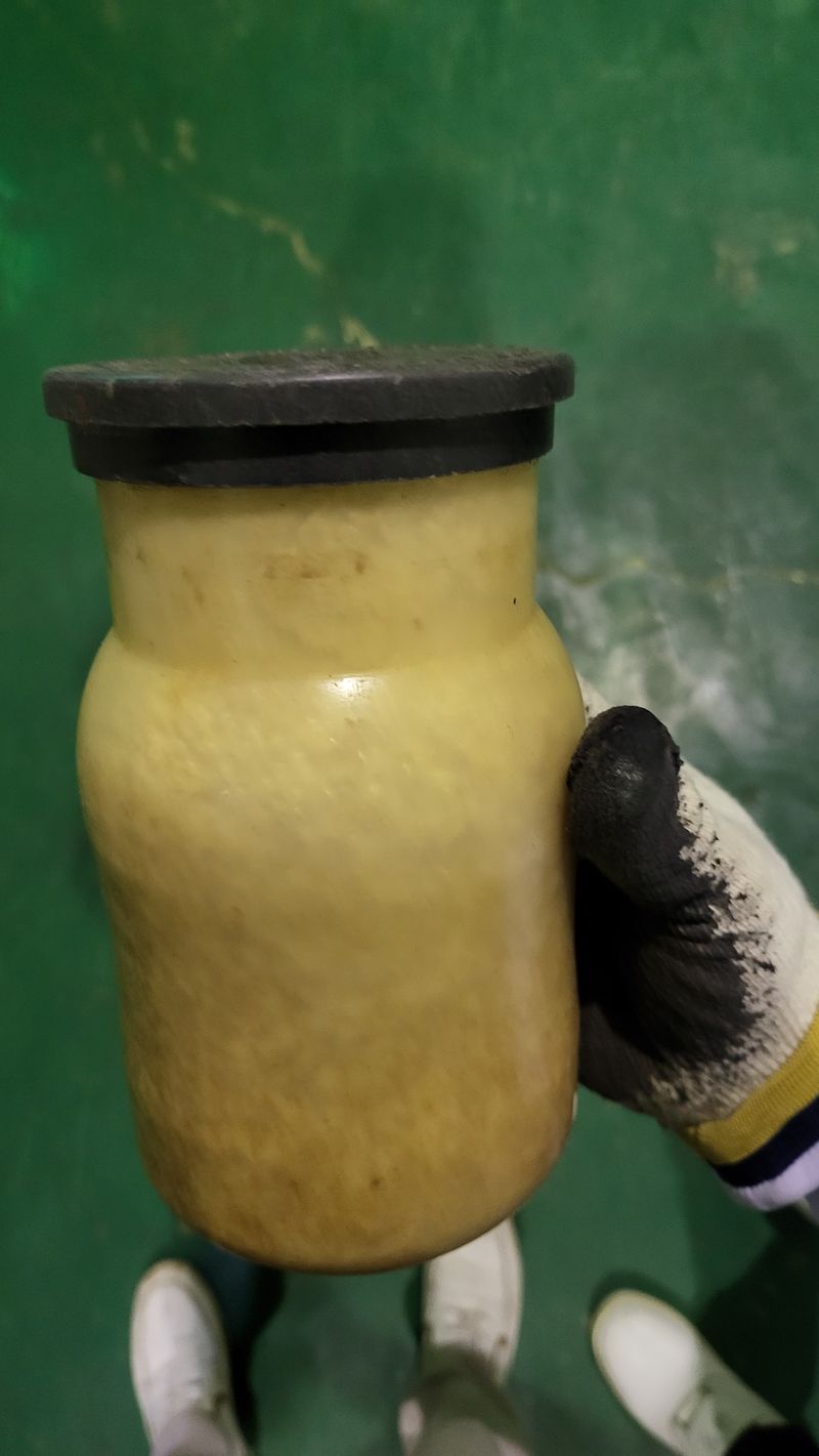 wjmush님의 장터 판매 상품 [새송이버섯 종균] 첨부 사진