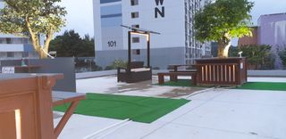 김종대님의 두릅 · 일상 작성글 사진