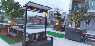 김종대님의 두릅 · 일상 작성글 사진