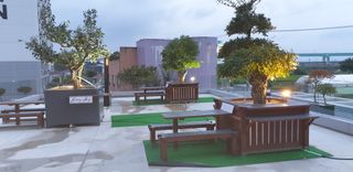 김종대님의 두릅 · 일상 작성글 사진