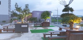 김종대님의 두릅 · 일상 작성글 사진