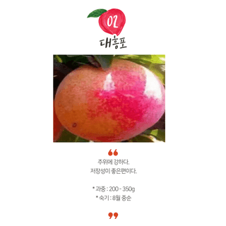 일심묘목농원님의 작성글 사진