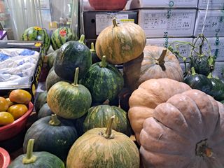 김기한님의 호박 · 자유게시판 작성글 사진