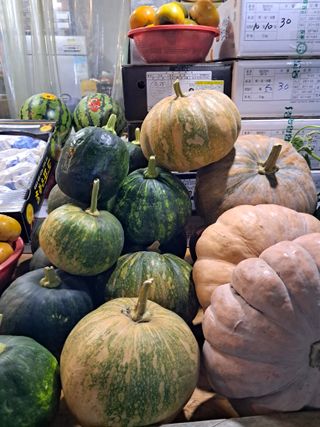 김기한님의 호박 · 자유게시판 작성글 사진