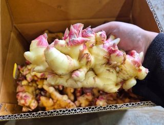 벌꿀*직접생산농장님의 작성글 사진