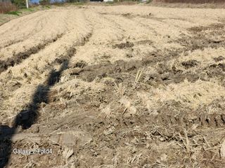 이훈정(시몬)님의 기타작물 · 영농일지 작성글 사진