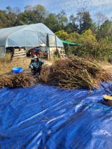 팜모닝 자유주제·자유게시판 게시글 이미지