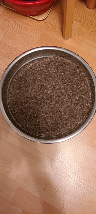 풀잎사랑님의 들깨 · 영농일지 작성글 사진