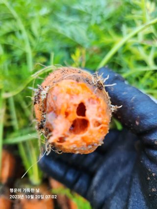 金鎭님의 기타작물 · 자유게시판 작성글 사진