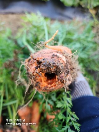 金鎭님의 기타작물 · 자유게시판 작성글 사진