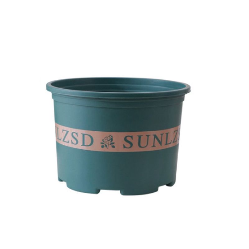 장터 상품 [화분 14.7cm 11cm] 썸네일