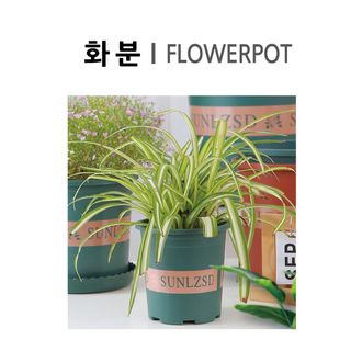 이범신님의 작성글 사진