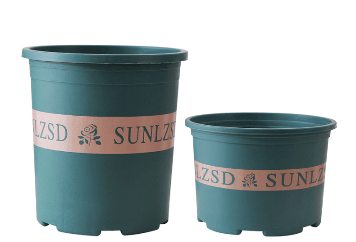 이범신님의 장터 판매 상품 [화분 14.7cm 11cm] 첨부 사진