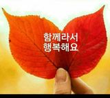 팜모닝 들깨·자유게시판 게시글 이미지