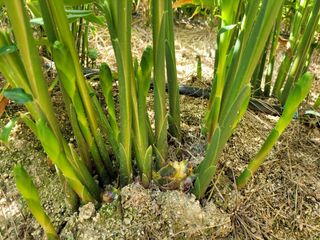 정상훈님의 기타작물 · 자유게시판 작성글 사진