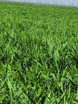 정상훈님의 기타작물 · 자유게시판 작성글 사진