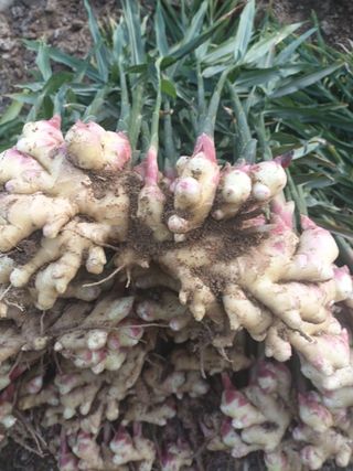 정상훈님의 기타작물 · 자유게시판 작성글 사진