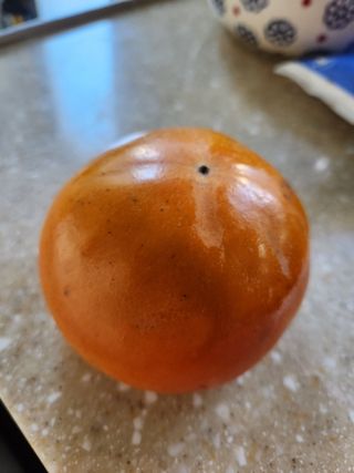 고영희님의 요즘 뜨는 신품종은? 💬 · 참여글 작성글 사진