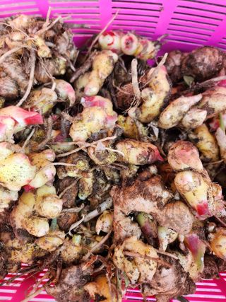 김연숙님의 자유주제 · 자유게시판 작성글 사진