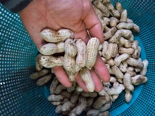 김영길님의 작성글 사진