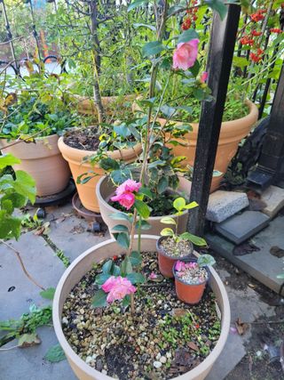 김유숙님의 자유주제 · 자유게시판 작성글 사진