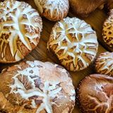 팜모닝 버섯·일상 게시글 이미지