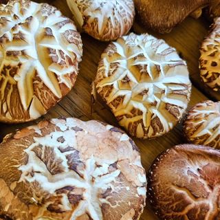 이형록님의 버섯 · 일상 작성글 사진