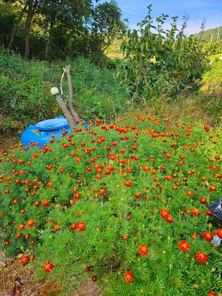 이형록님의 기타작물 · 자유게시판 작성글 사진