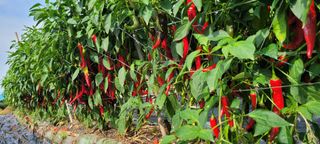 이동훈님의 작성글 사진