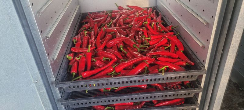 이동훈님의 장터 판매 상품 [고추가루] 첨부 사진