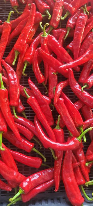 이동훈님의 작성글 사진