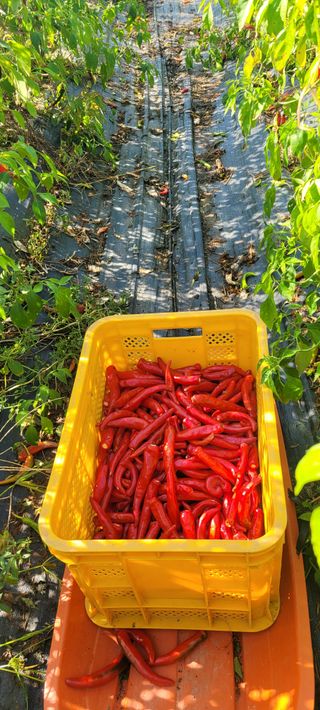 이동훈님의 작성글 사진