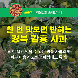 팜모닝 장터님의 장터이야기 · 공지 작성글 사진