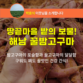 팜모닝 장터님의 장터이야기 · 공지 작성글 사진
